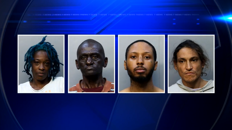 Authorities affirm arrests made following narcotics bust at Miami meals market – WSVN 7News | Miami Information, Climate, Sports activities