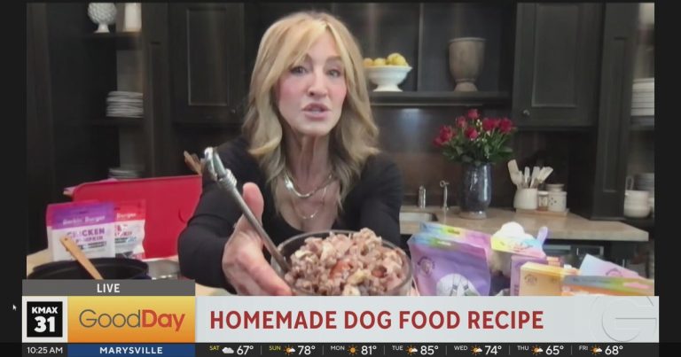 Laura McIntosh – Selfmade Canine Meals Recipe