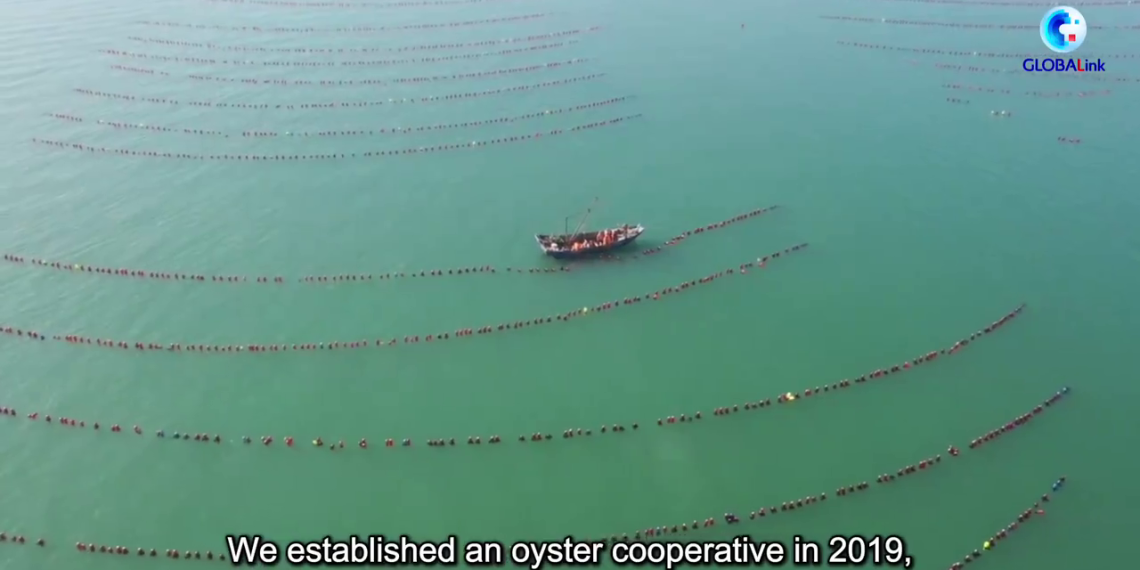 China expands marine ranching to spice up meals safety