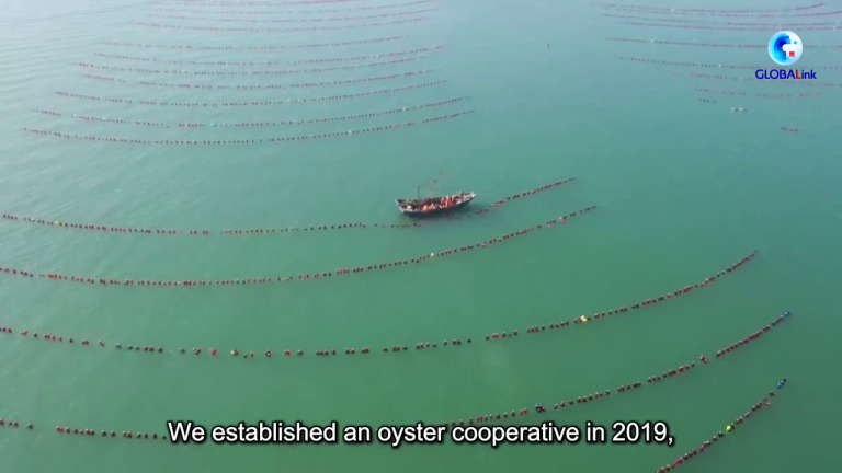 China expands marine ranching to spice up meals safety