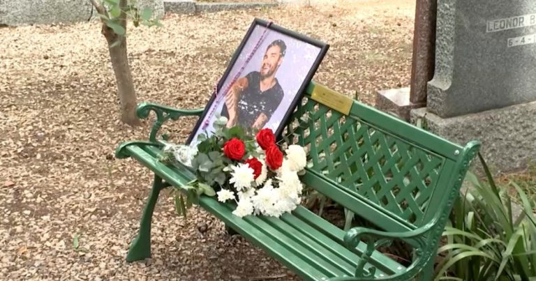 Liam Payne followers dedicate commemorative bench in Buenos Aires cemetery, Leisure Information