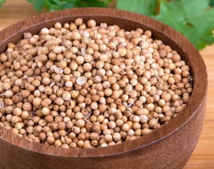 10 Stunning Well being Advantages Of Coriander Seeds For Your Physique