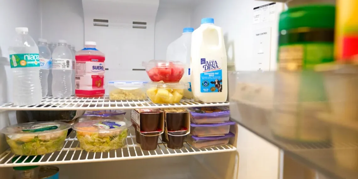 SNAP Advantages at Threat: Proposed cuts threaten meals safety for hundreds of thousands – Marca English