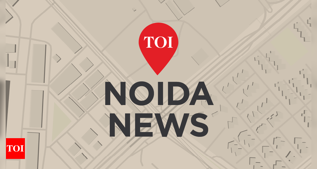 Girl handed life time period for killing pal’s sister in Ghaziabad | Noida Information