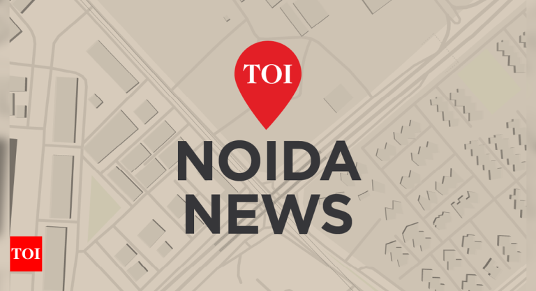 Girl handed life time period for killing pal’s sister in Ghaziabad | Noida Information