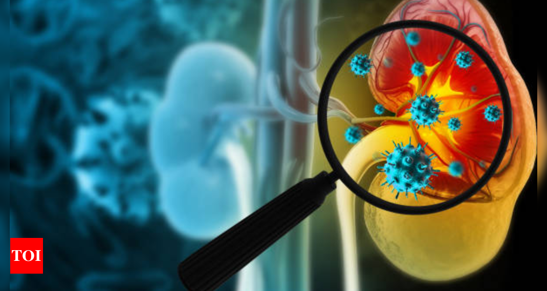 World Kidney Day: 5 golden guidelines to stop kidney illness