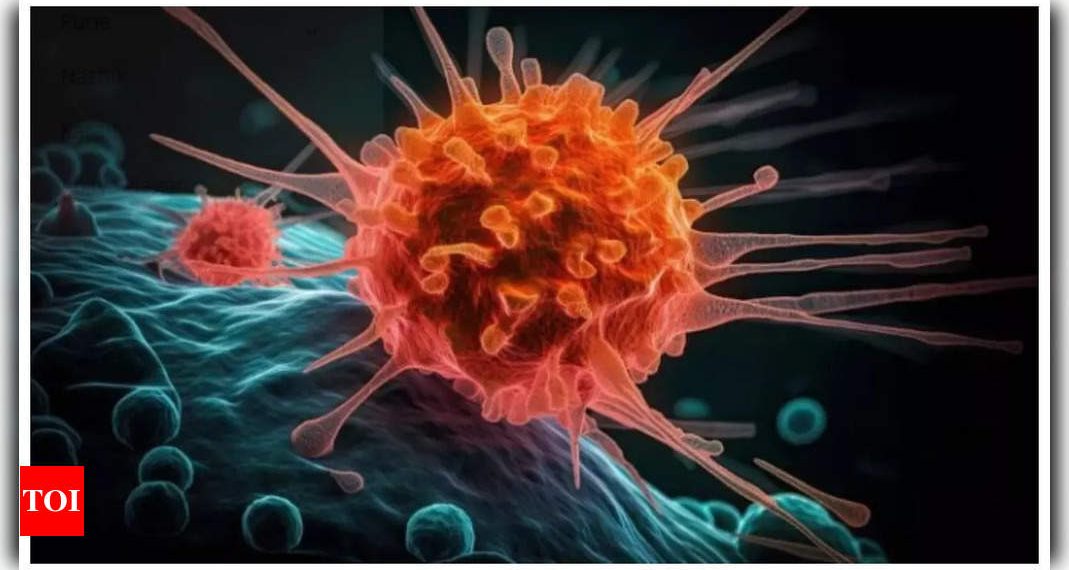 Surprising: Chemical Four-MEI present in widespread US breakfast meals will increase probabilities of most cancers and leukemia: examine