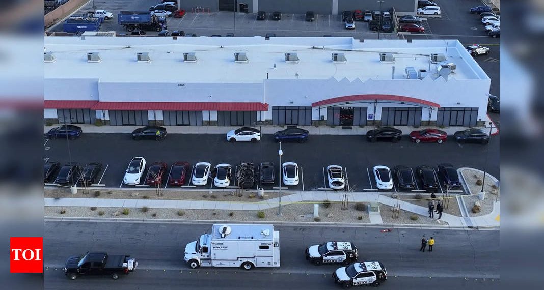 Excessive inside terrorism … says Elon Musk whereas the positioning publishes names, addresses and cellphone numbers of Tesla homeowners in an interactive map