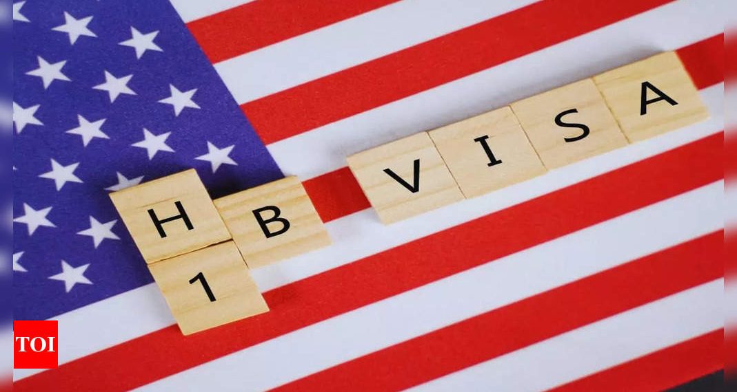 Amazon, Tesla and 18 different American firms which have put Most H-1B visa in 2024