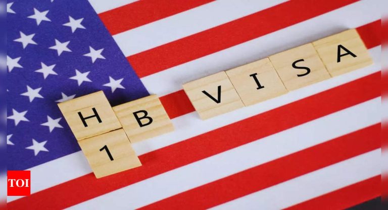 Amazon, Tesla and 18 different American firms which have put Most H-1B visa in 2024