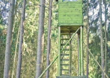 Venison a game-changer for preventing meals insecurity