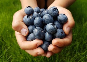 Proposed SNAP cuts would hit Mississippi particularly laborious / Public Information Service