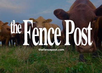 MSU scientist making meals safer worldwide by means of analysis, coverage