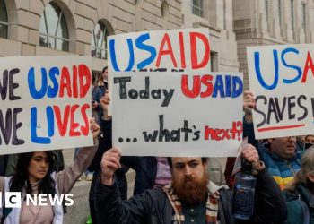 USAID in riots whereas Trump and Musk intend to shut the assistance of the assistance