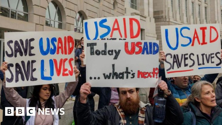 USAID in riots whereas Trump and Musk intend to shut the assistance of the assistance