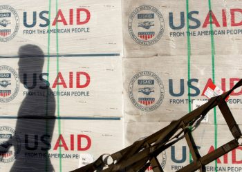 USAID safety chiefs had been placed on a break after they tried to cease the Musk group from coming into labeled data, officers say