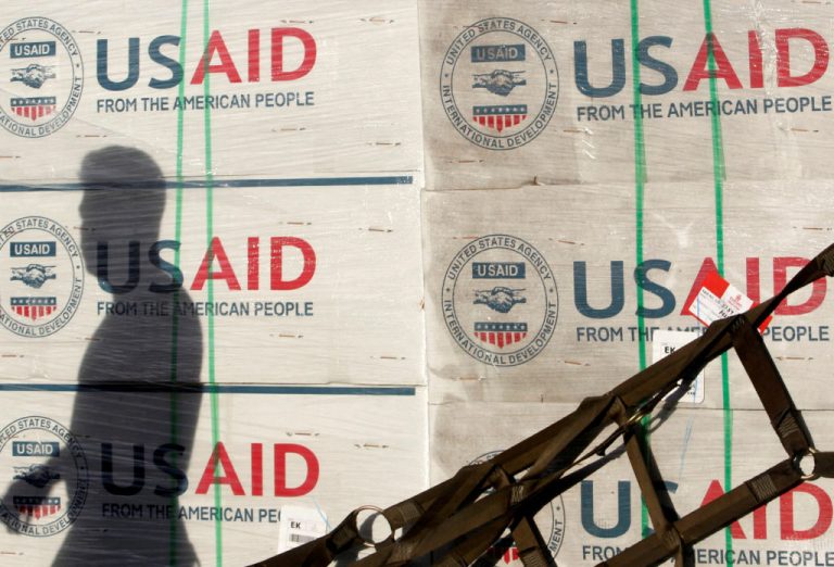 USAID safety chiefs had been placed on a break after they tried to cease the Musk group from coming into labeled data, officers say