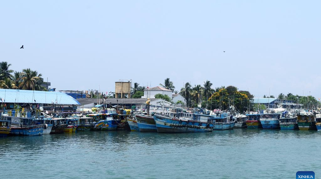 Day by day lifetime of fishermen in Negombo, Sri Lanka-Xinhua