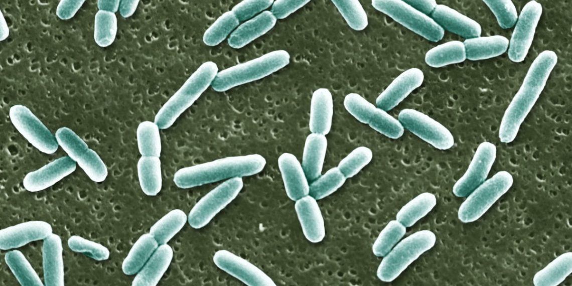 FDA approves first new antibiotic for UTIs in almost 30 years