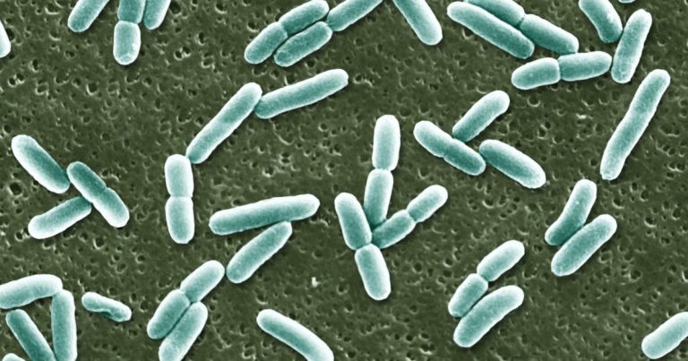FDA approves first new antibiotic for UTIs in almost 30 years