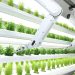 International agri-food-tech funding shrinks as sector enters new progress section