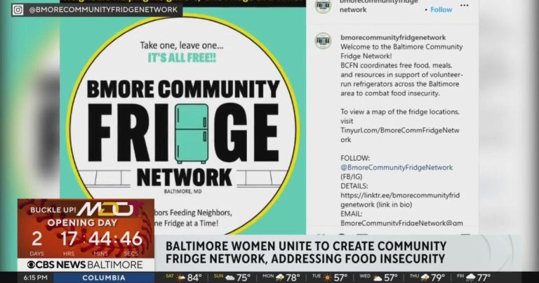 Baltimore ladies unite to create group fridge community, addressing meals insecurity