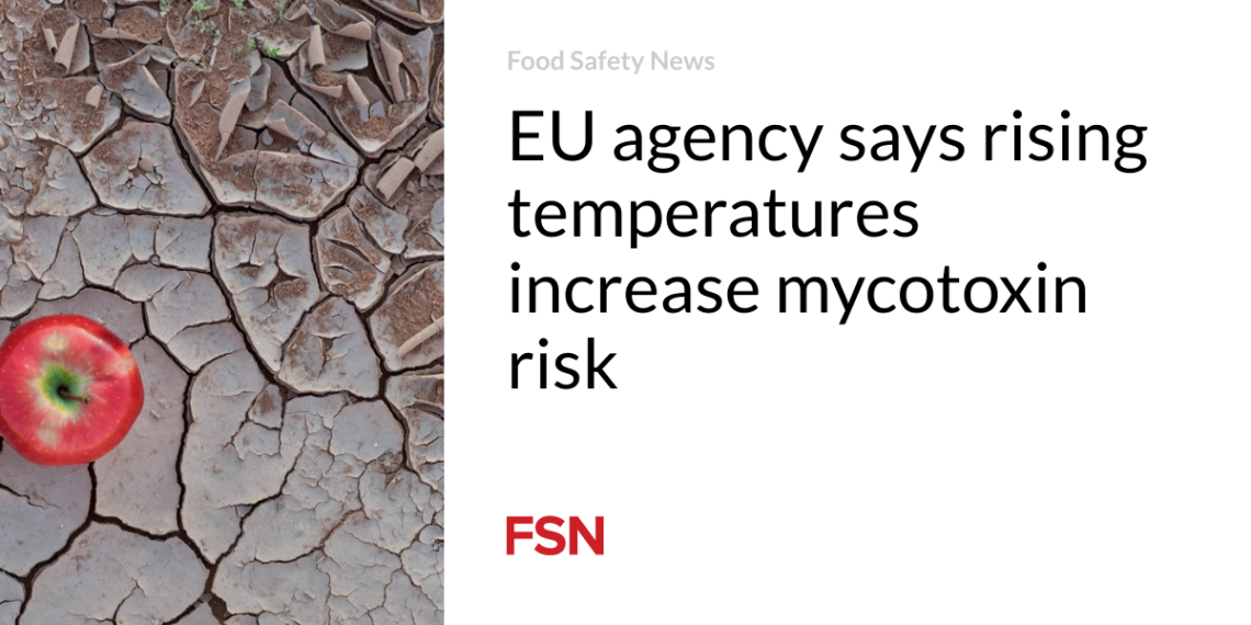EU company says rising temperatures enhance mycotoxin threat