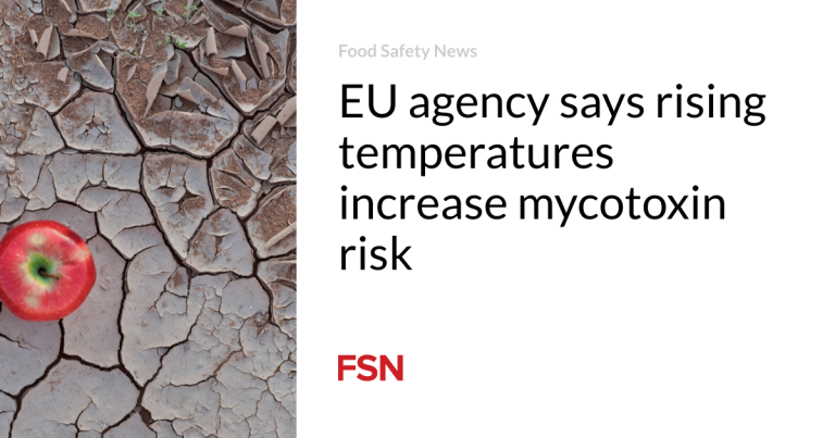 EU company says rising temperatures enhance mycotoxin threat
