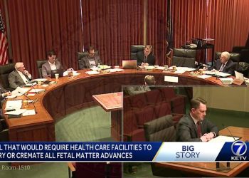 Invoice that might require well being care services to bury or cremate all fetal matter advances – Yahoo