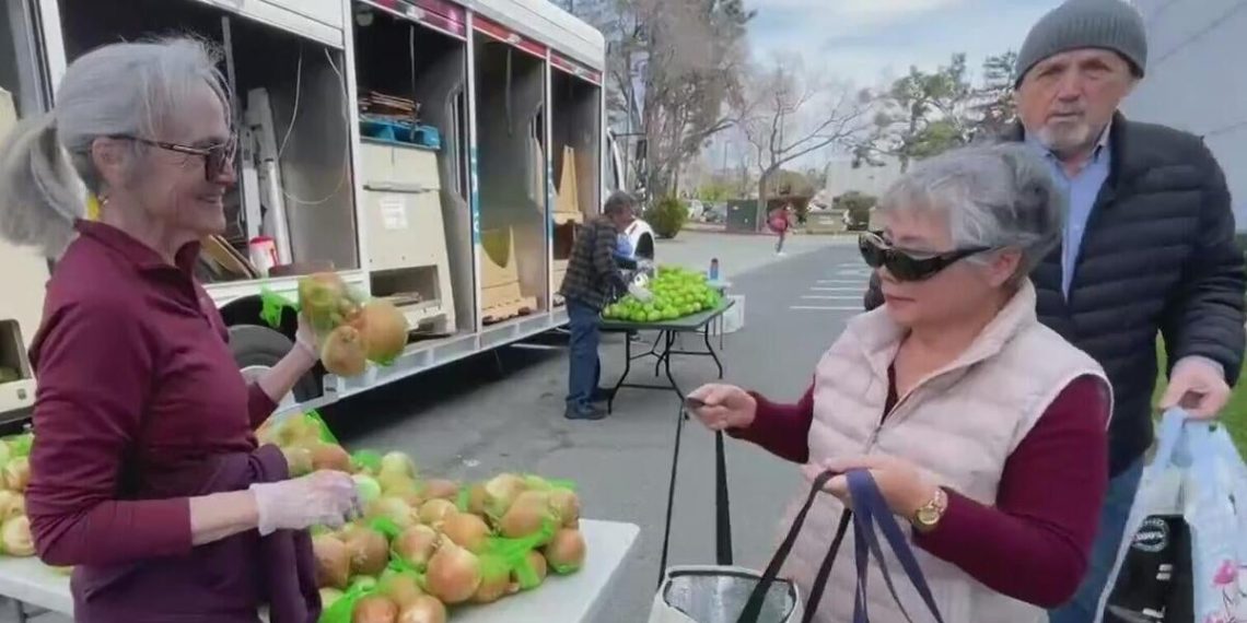 East Bay meals banks see funding drop as want for assist grows