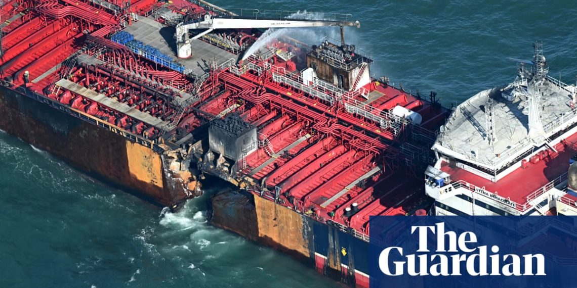 Consultants warn of North Sea collision’s ‘devastating’ affect on marine life | North of England