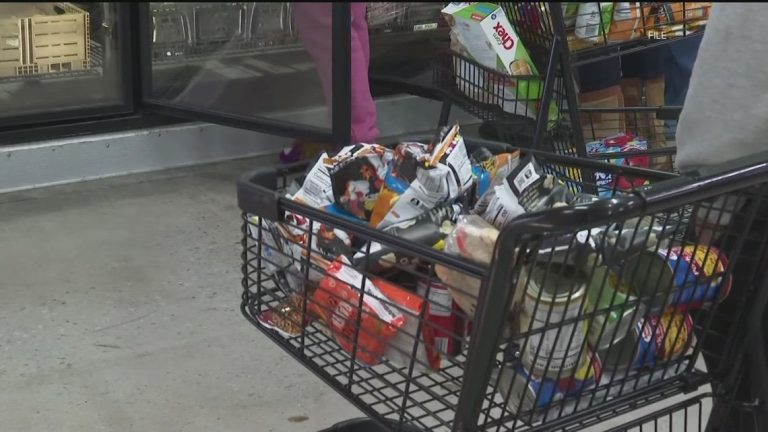 Meals banks impacted by USDA funding cuts – 11Alive.com WXIA