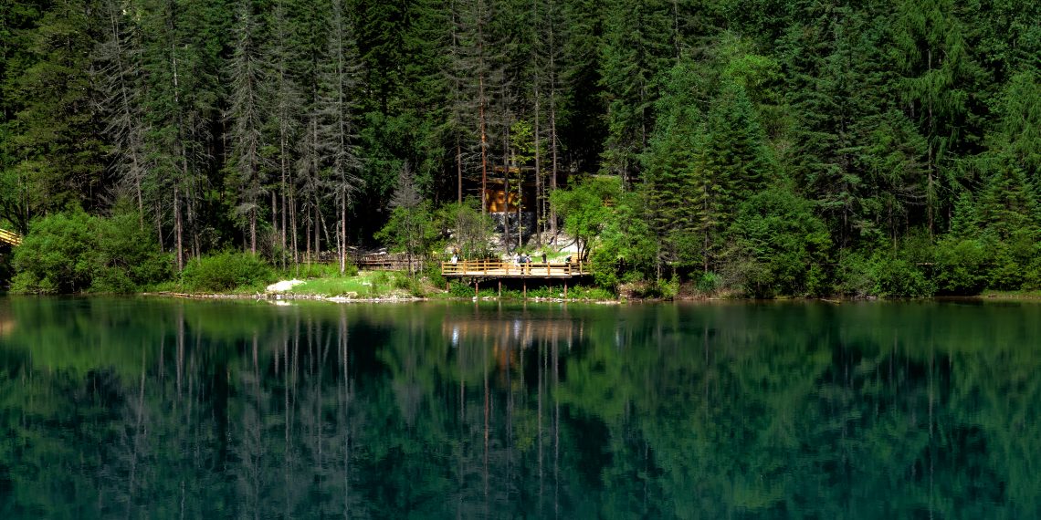 WHO Air Air pollution and Well being convention seeks to reinvigorate international motion