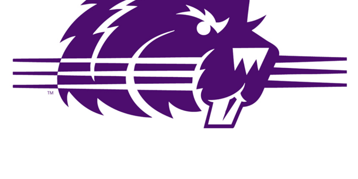 Bluffton Bevers Sports activities Roundup, March 19-5- – Bluffon icon