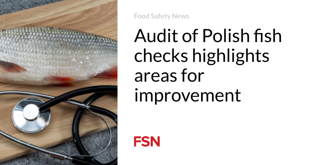 Audit of Polish fish checks highlights areas for enchancment