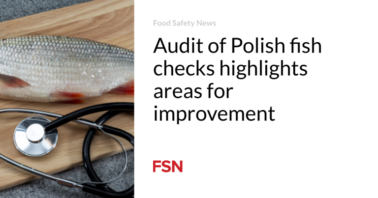 Audit of Polish fish checks highlights areas for enchancment