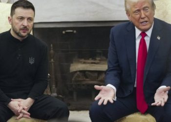 Zelenskyy sees voting bumps after Trump. What about world leaders? – nationwide