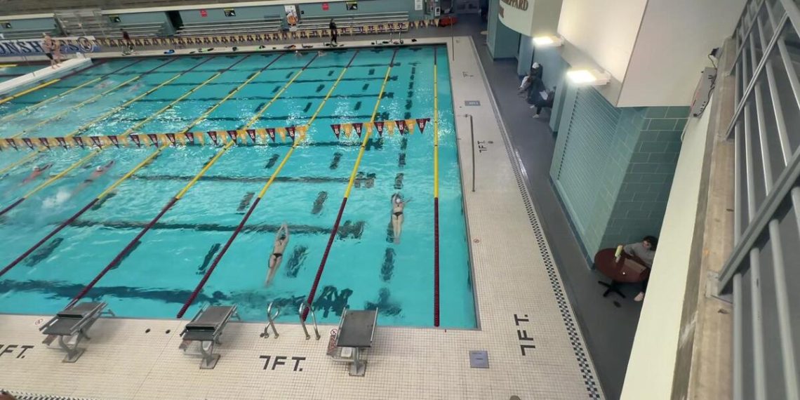 Womn in Sport: Three Gophers qualify for NCAA feminine swimming championships