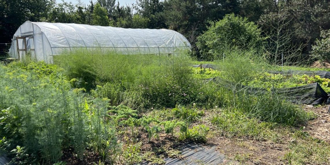 WESTconsin Credit score Union to host Spring Meals Drive | Native Information