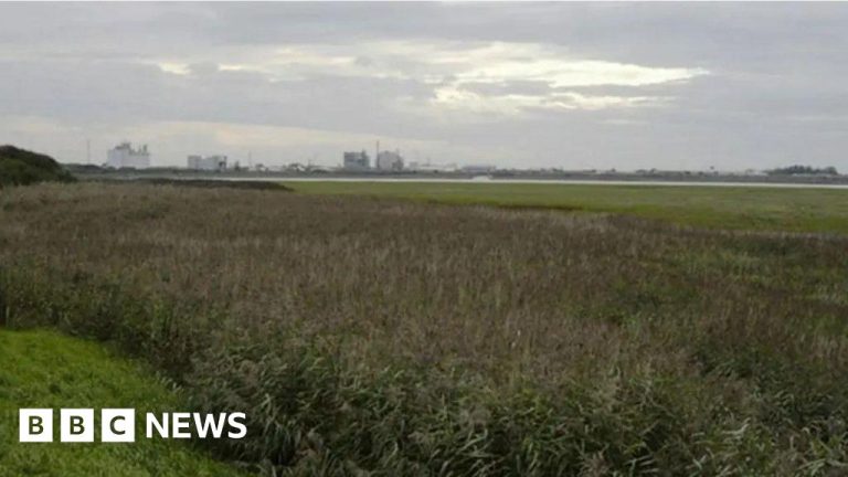 Council warns about meals grown close to chemical website