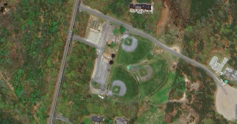 Board Of Well being Will Hear Resident Feedback On Ballfield Restore – CapeNews.web