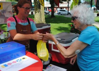 Missaukee Chamber searching for meals distributors for farmers’ market | Information
