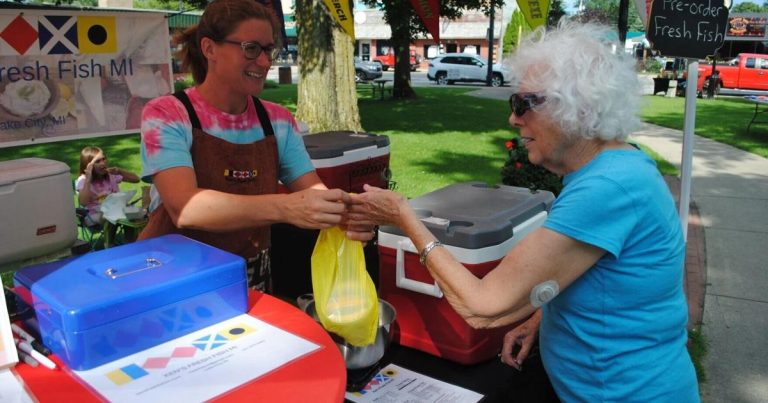 Missaukee Chamber searching for meals distributors for farmers’ market | Information