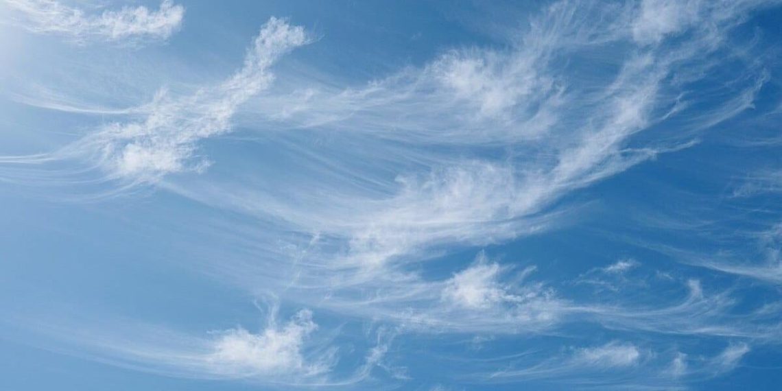 Scientists Develop Fast Chicken Flu Detector for Airborne Check – WFXG