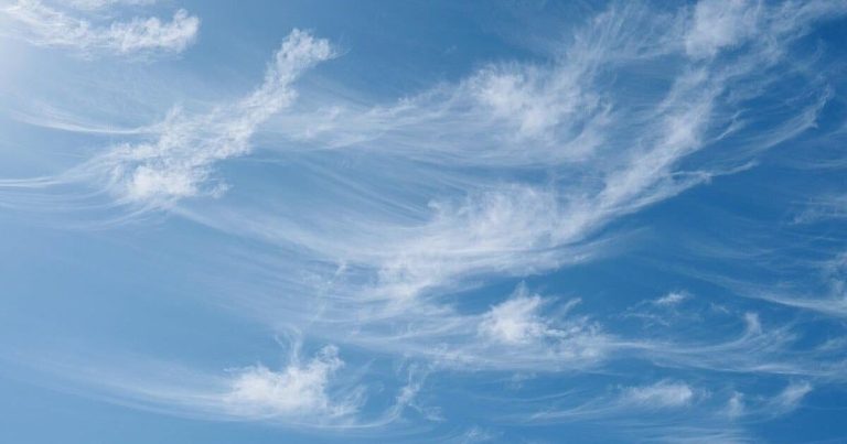 Scientists Develop Fast Chicken Flu Detector for Airborne Check – WFXG