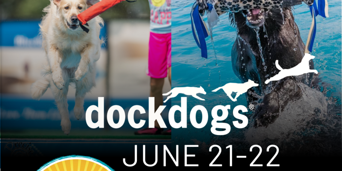 Sunn -Enjoyable: Canine Nautical Sports activities coming to Milbank’s Farley Fest | Native information