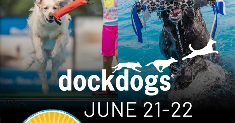 Sunn -Enjoyable: Canine Nautical Sports activities coming to Milbank’s Farley Fest | Native information