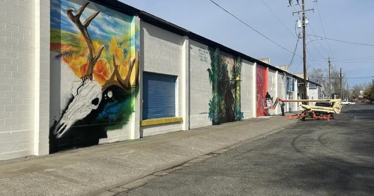 Chico Avenue Truthful to Function Mural Competitors, Dwell Leisure | Information