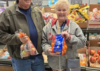 Wholesome buying at Stoughton Well being grocery tour | Group