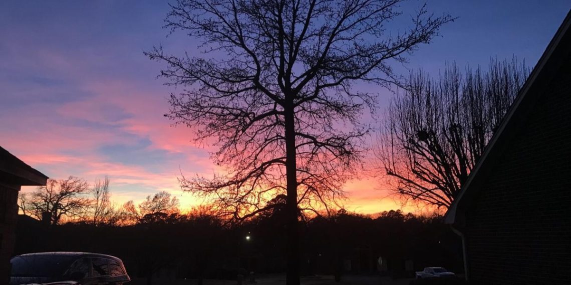 Our readers’ Greatest Photographs from March 14-20, 2025 | Way of life